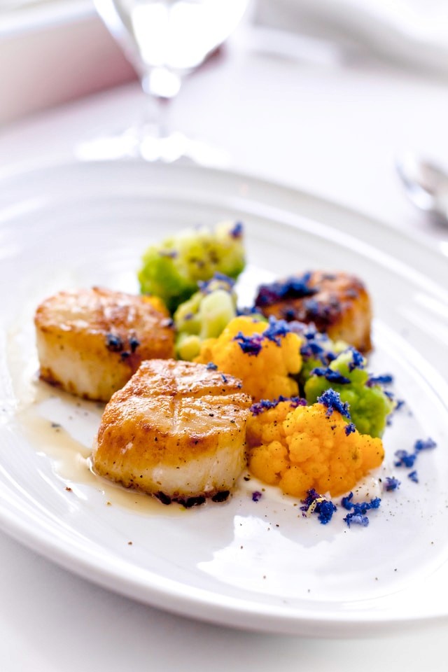 Seared scallops in a white plate