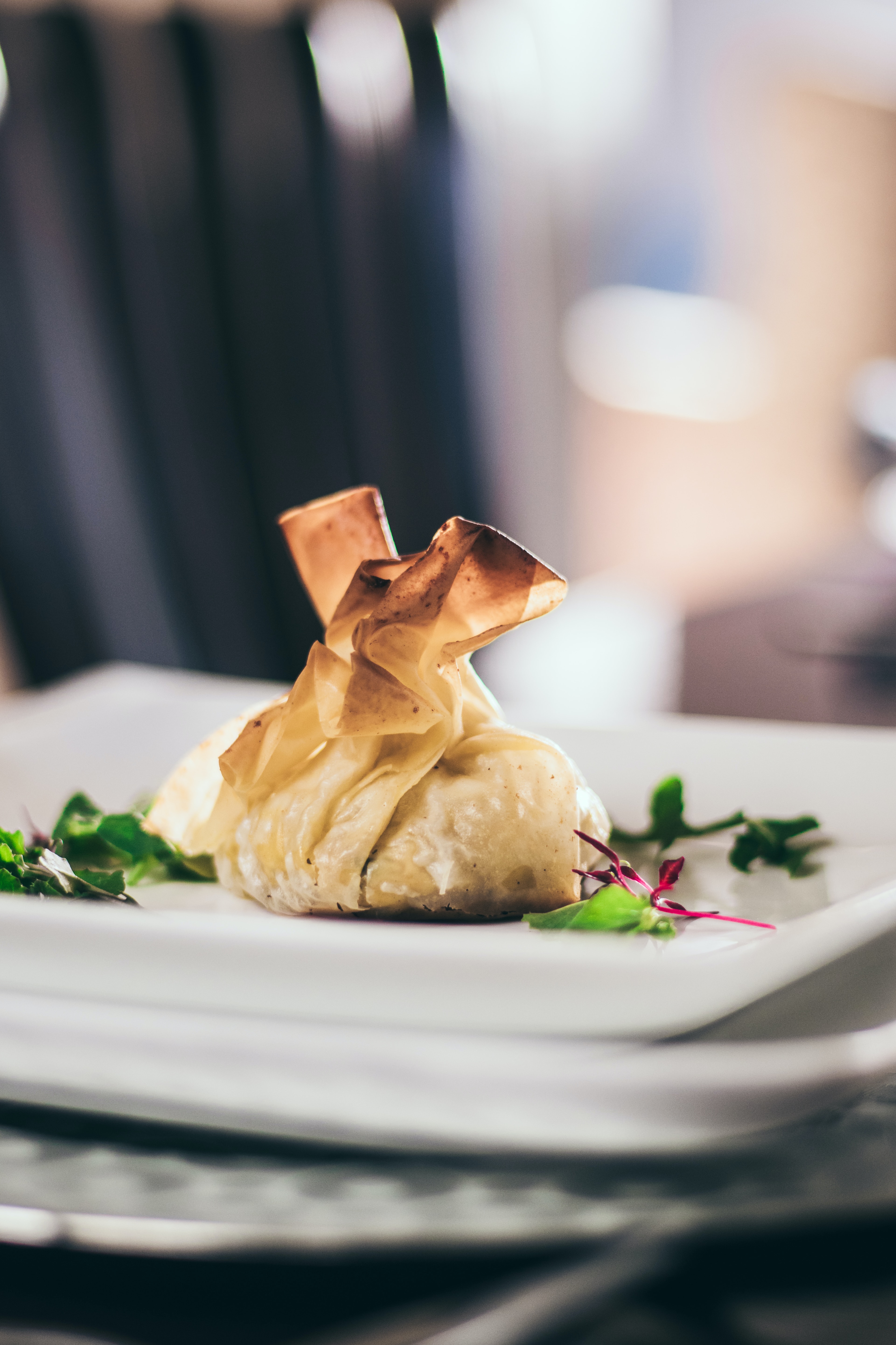 fried dumpling in a white plate